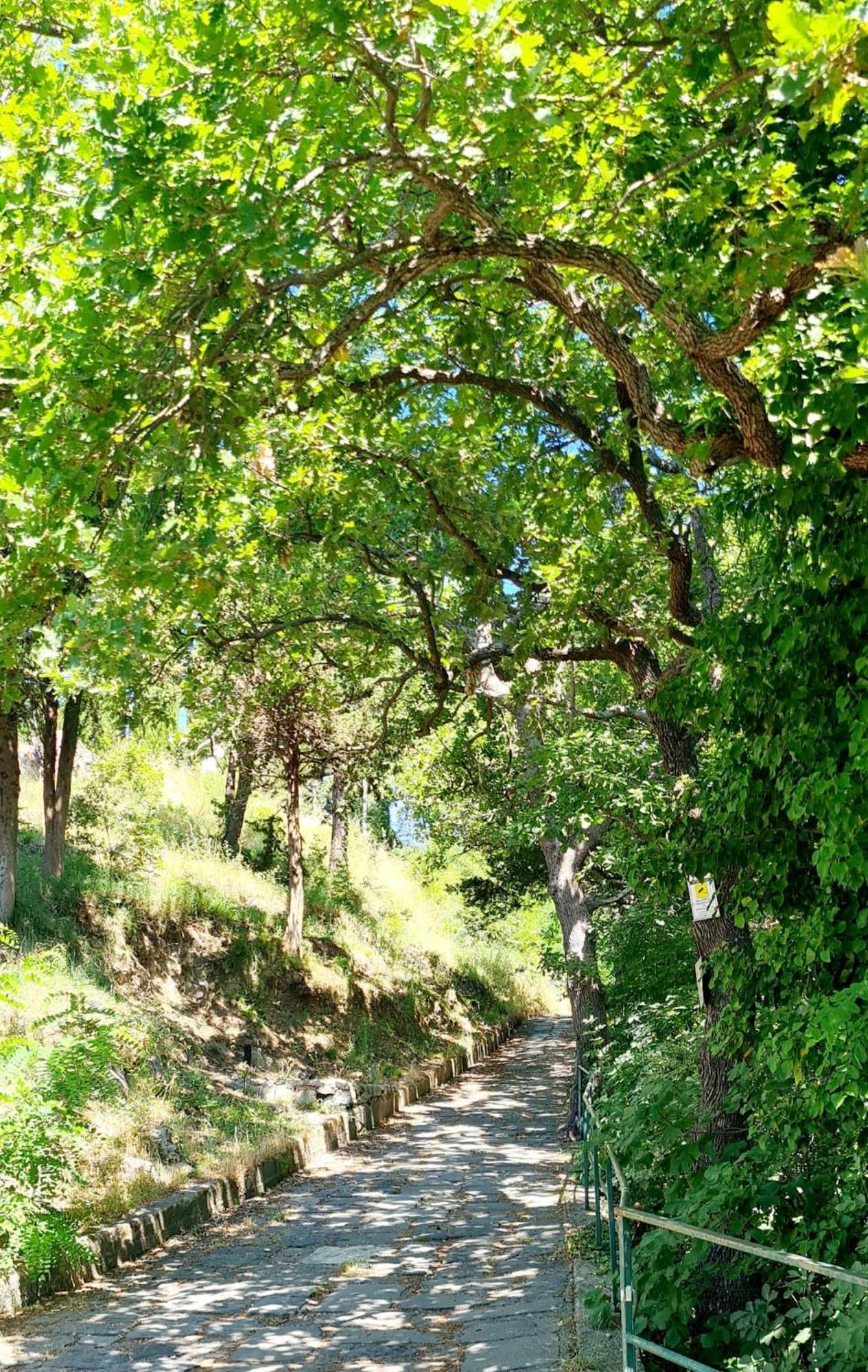 Villa Blu Costiera Αμάλφι Εξωτερικό φωτογραφία